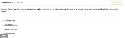 MAD101_-_SP_2025_-_BL3_-_Quiz2_3802.webp