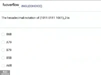 MAD101_-_SP_2025_-_BL3_-_Quiz2_3802.webp