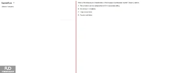 SSL101c_-_SP_2025_-_RE_3806.webp