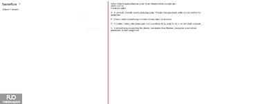 SSL101c_-_SP_2025_-_RE_3806.webp