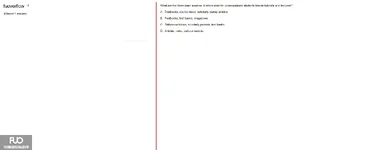 SSL101c_-_SP_2025_-_RE_3806.webp