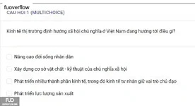 MLN122_-_SP_2025_-_BL3_-_Quiz2_3830.webp