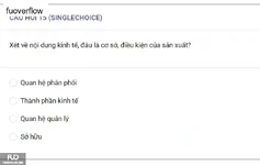MLN122_-_SP_2025_-_BL3_-_Quiz2_3830.webp