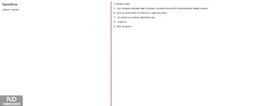 IBF301_-_SP_2025_-_Block_5_-_1_3835.webp