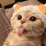 namhoangph