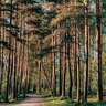 nhangheo_lau5