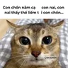Anhvtse