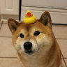 Toji