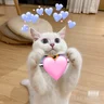 heysiri