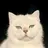 Do T Thinh
