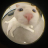 Zenus