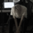 sadboyK17