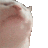 opnep