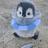 baby penguin