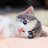 unclecat