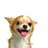 kiet2307